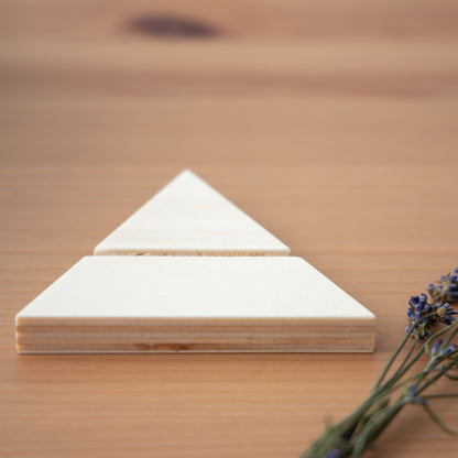 Triangle Card Holder and Earring Display